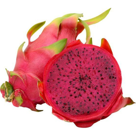 PITAHAYA ROUGE VENUS 8PCS